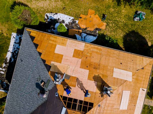 Best Gutter Installation and Roofing  in Forest, VA
