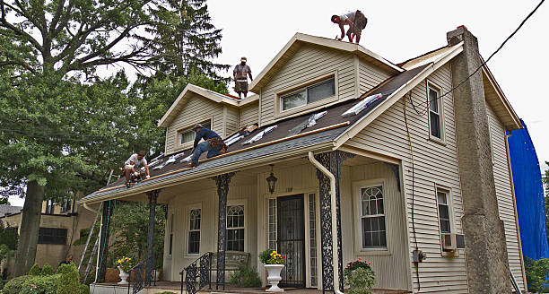 Best Roof Leak Repair  in Forest, VA