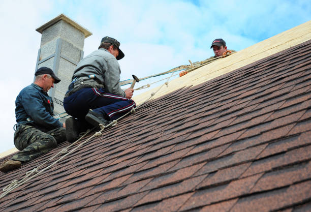 Best Roof Gutter Cleaning  in Forest, VA